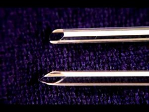 Rat Intubation 大鼠氣管插管教學｜動物實驗插管技巧與安全重點