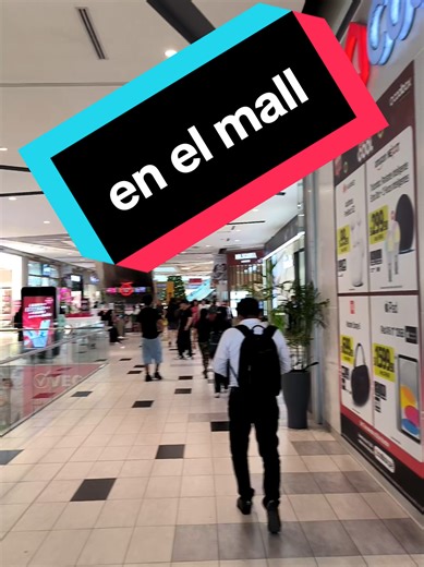 Exploring Holiday Shopping at the Mall