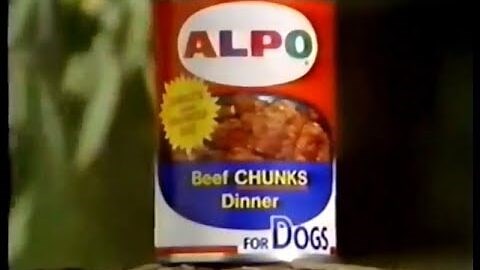 ‘Eat your own dog food’: How Microsoft popularized one of the yuckiest terms in tech history