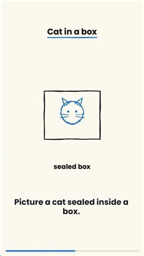 Schrodinger's Cat Explained: It Was a JOKE #physics #quantum #explained