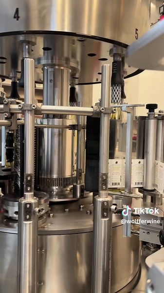 Harvesting White Verjus at Wölffer Estate Winery