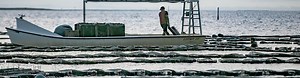 Aquaculture - Florida Sea Grant