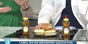 Beginner beekeeping classes