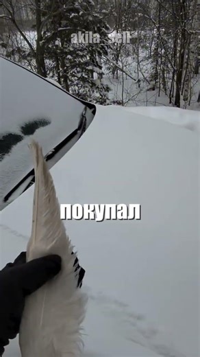 This is the best folk device for clearing snow from a car.