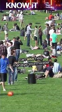 🌳 10 Amazing Facts About Urban Forests | Nature in the Heart of the City