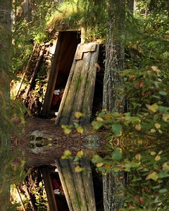 Disney is Adapting THE EXPLORERS CLUB Into a Movie — GeekTyrant