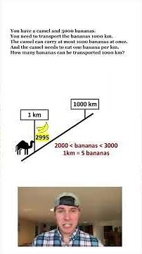 Camel Delivers 3000 Bananas 1000km