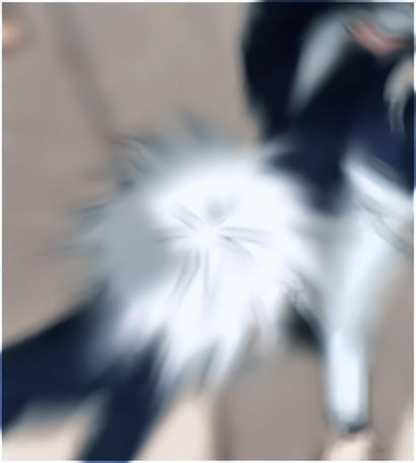 original sound - clxxを使っているclxx (@clxapo)の動画