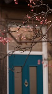 Here’s a behind-the-scenes look at our latest TV ad, on your screens this festive season See if you can spot us on your screens  | Solidor Composite Doors | Facebook