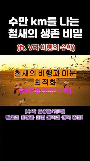 [수학 세특] 철새의 V자 비행 속 숨겨진 미분 최적화 원리 (Pennycuick 모델) #미적분 #수학