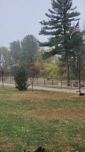 First snow! It won't stick, but it sure is pretty. Just to clarify, they ALWAYS have available cozy shelter. They choose to be out in this. Ruby and Nellie ❤️☃️ | Red Tail Ranch