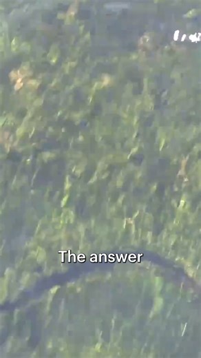 8.1K views · 52 reactions | As Earth’s groundwater continues to dissipate, there is a growing push to use more surface water. This presents added disruption to ecosystems making it a less than ideal solution. Enjoy Pumped Dry from our partners at Gannett - Link to full show in bio. #gannett #usatodaynetwork #watchandwonder | Curiosity Stream | Facebook