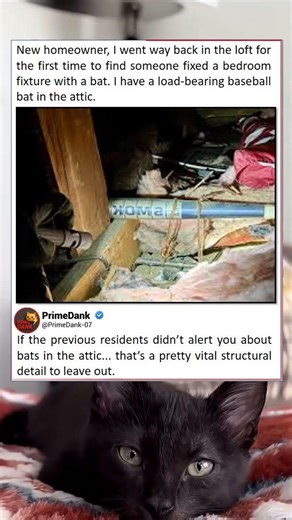 Structural integrity is a suggestion 💀 | funny memes | relatable American memes | dank memes