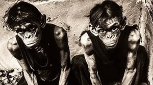 Terrifying Animal Crossbreeding Experiments That Shouldn’t Exist #crossbreeding #animals | Most Amazing Top 10