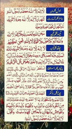 6 Kalma of Islam |Learn and Recite Six Kalmas |Complete Six Kalimas with Meaning#for you#viral short