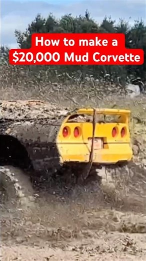 $20,000 Corvette covered in mud fires up #satisfying #restoration #mechanic