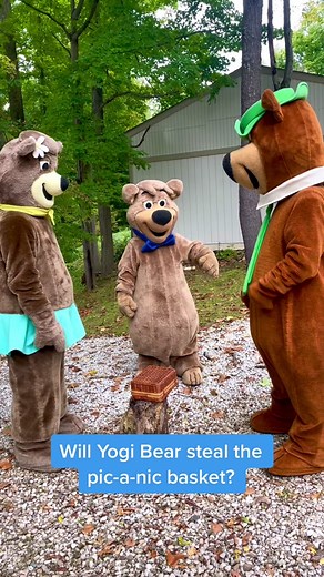 Yogi Bear at Jellystone Park Moments