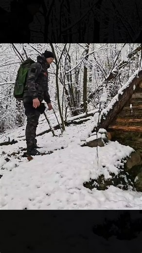 Silent Hike to a Hidden Snowy Forest Dugout