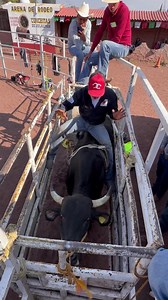 3.5M views · 110K reactions | Tips para protegerse con toros nuevos o un poco inquietos dentro del chute! #krakenrodeoacademy #krakenrodeo #bullriding #jaripeo #charreria #escueladerodeo | Kraken Rodeo | Facebook