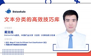 文本分类的高效技巧库