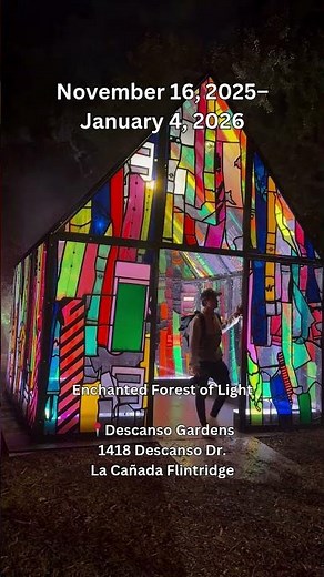 You CAN'T MISS this MAGICAL Light Forest in LOS ANGELES