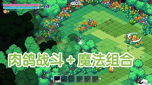 特别好评！大猫贤者肉鸽战斗＋魔法组合丨地牢冒险丨steam-试玩-独立游戏丨Wizard Cats Demo 大猫贤者的无限法典