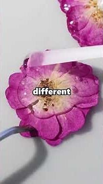 My wife told my sister she's not allowed to hold our baby and my sister just showed me the text.