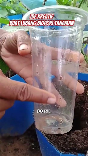 IDE KREATIF BUAT LUBANG BIOPORI TANAMAN @ErikBelobe