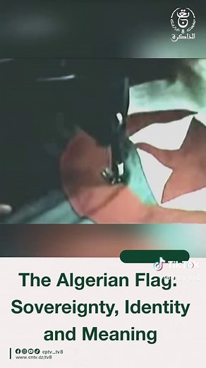 🇩🇿 The Algerian Flag: Sovereignty, Identity, and Meaning
