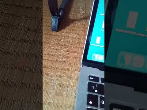 2025/12/04（木）15:39。国連人権高等弁務官事務所（OHCHR）にこれまでの組織的嫌がらせ被害の証拠画像と共に被害状況を報告しました。