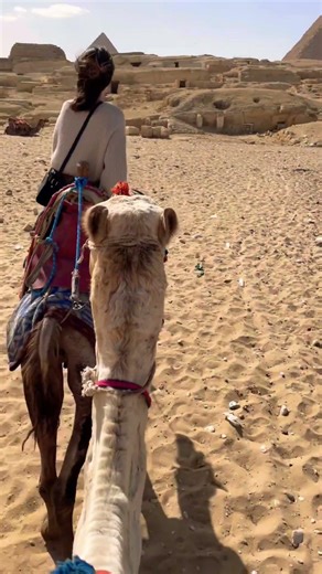 POV: Riding a camel in Egypt 🇪🇬🐪 #shorts