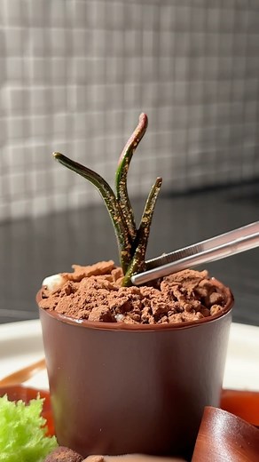 Cedrik Lorenzen on Instagram: "I’ll treat you like I plate my desserts. #moussecake#deliciousdesserts#dessertheaven Description: Dark chocolate shell filled with a light and airy white chocolate and coconut mousse, chocolate soil with crunchy nut cereal, crunchy nut cereal and white chocolate ice cream, kinder bueno cremeux, dark chocolate and coconut cake, light vanilla sponge, and a light coconut and chocolate jelly. Taste 9/10 Visuals 7/10 Notes: This was a fun and playful attempt to make a n