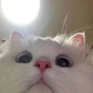 JJthegremlin - Twitch