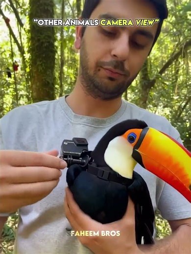 Other animals camera view vs this one ☠️ #trollface #trollfaceedit #meme #trending