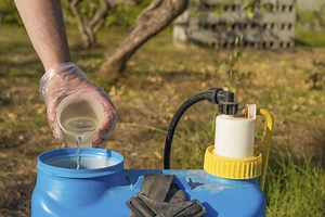 Directions For Use Of Daconil Fungicide - Garden Guides