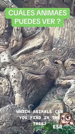 How many animals can you see? 🦅🐬🐍🦍🐾🦁 #animals #artwork #animalshorts #disney