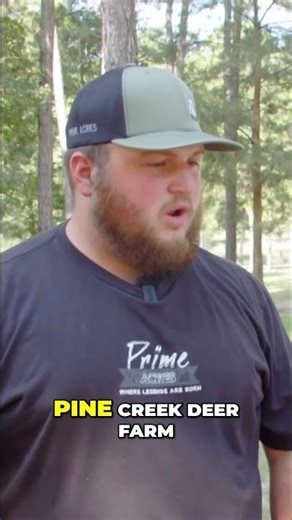 Top Whitetail Partners & Deer Breeding Secrets Revealed! #shorts