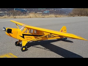 2.4m Seagull Piper cub J3