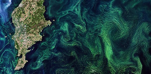 Climate engineering would alter the oceans, reshaping marine life – new study examines each method’s risks