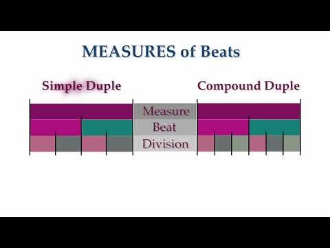 Fundamentals Lesson 10.1: Meter - Beat, Division, Measure