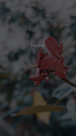 Happy... #kritz