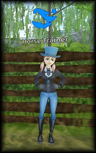 Star Stable Horse Care