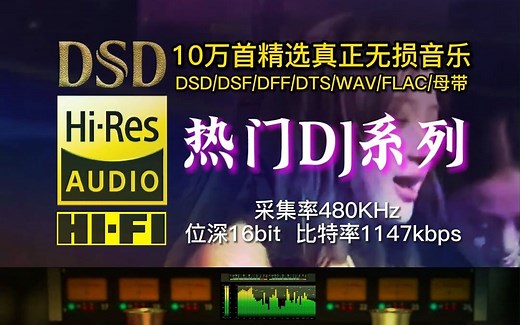 10万首精选真正无损HIFI音乐：热门DJ，采集率48KHz，位深16bit，比特率1147kbps