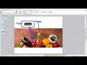 Canvas X - Using the Annotation Tool