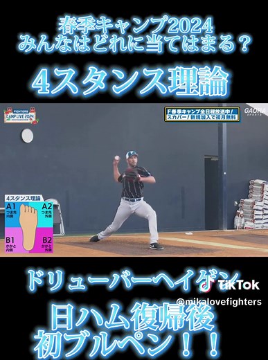 4スタンス理論の解説と実例