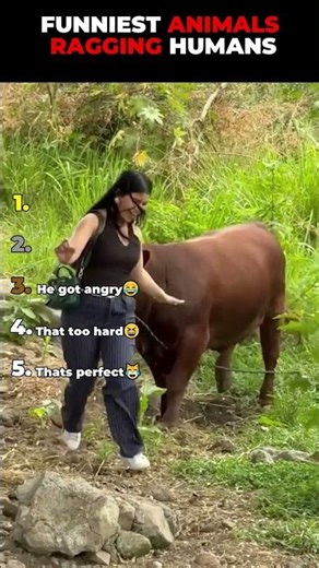 Funniest Animals Pranking Humans 🐶😂💥