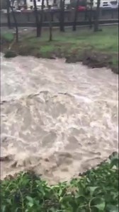 28K views · 324 reactions | CRUES ‪Le terrible #tech, le plus dangereux des torrents de Catalogne Nord, se réveille à #amelie #PyreneesOrientales il s’approche des 8m à #ceret qu’il a dépassé au Pas du Loup en amont. L’ensemble des cours d’eau sont à la hausse #crues Attention cet après-midi avec la fonte qui va s’amplifier !❌Sebastien Rosada‬ | Météo Pyrénées | Facebook