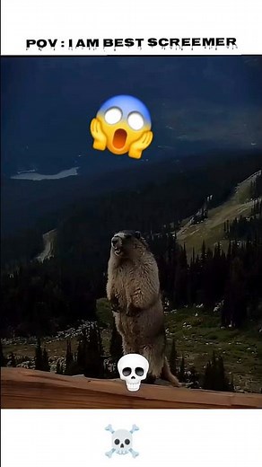 I Am the LOUDEST Screamer Ever! 😱 | Viral Challenge #Shorts