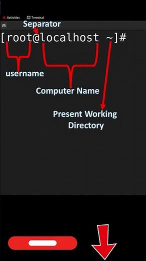 Linux CLI explained in 60 Seconds - Shell Basics #shorts #techshorts #shortfeed