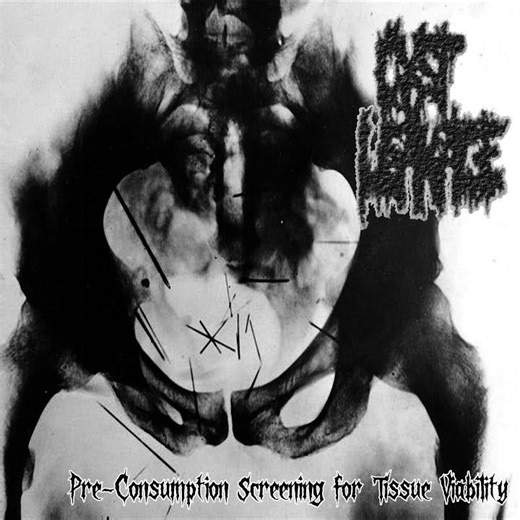 Jawbone Shattered for Marrow Extraction